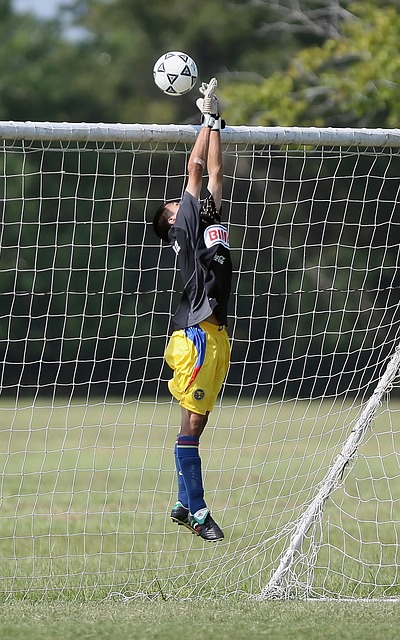 的努力来平 的努力来平