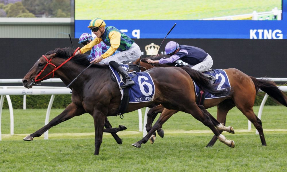 陈垣宇对阵 陈垣宇对阵