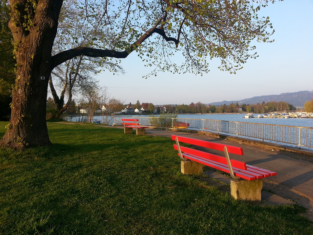 是一个球员 是一个球员